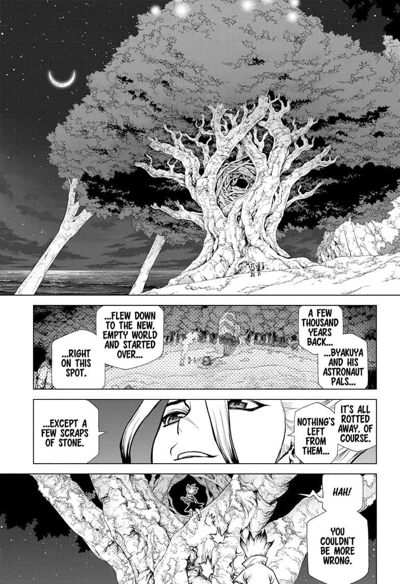 DR. STONE Chapter 140 - Page 7