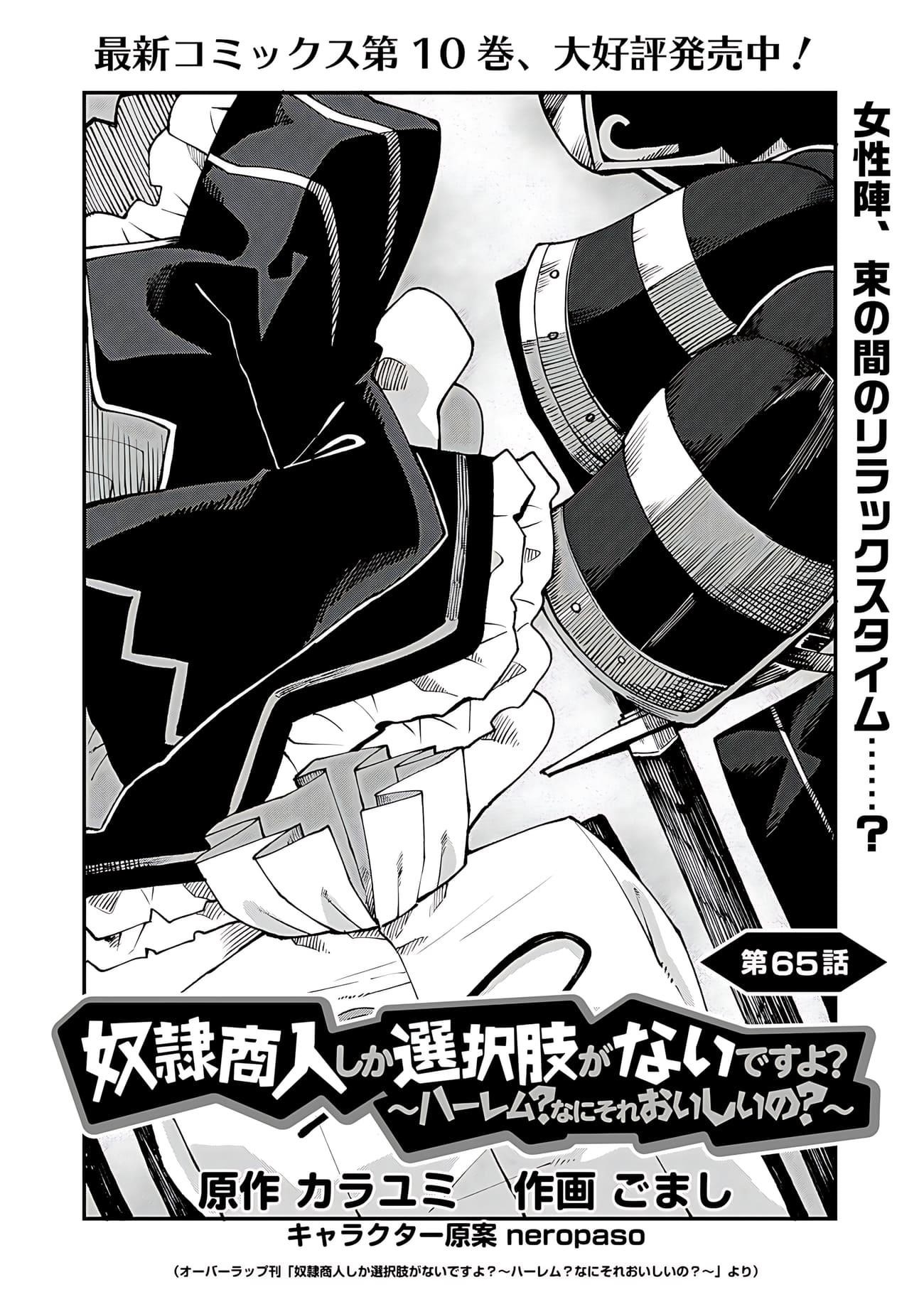 Is The Only Option a Slave Merchant? ~ Harem? What is that, Is it tasty? ~ Chapter 65 - Page 3