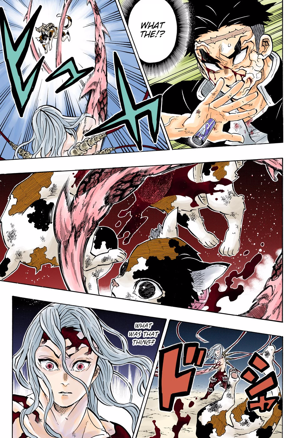 Demon Slayer: Kimetsu no Yaiba – manga in colored Chapter 189 - Page 13