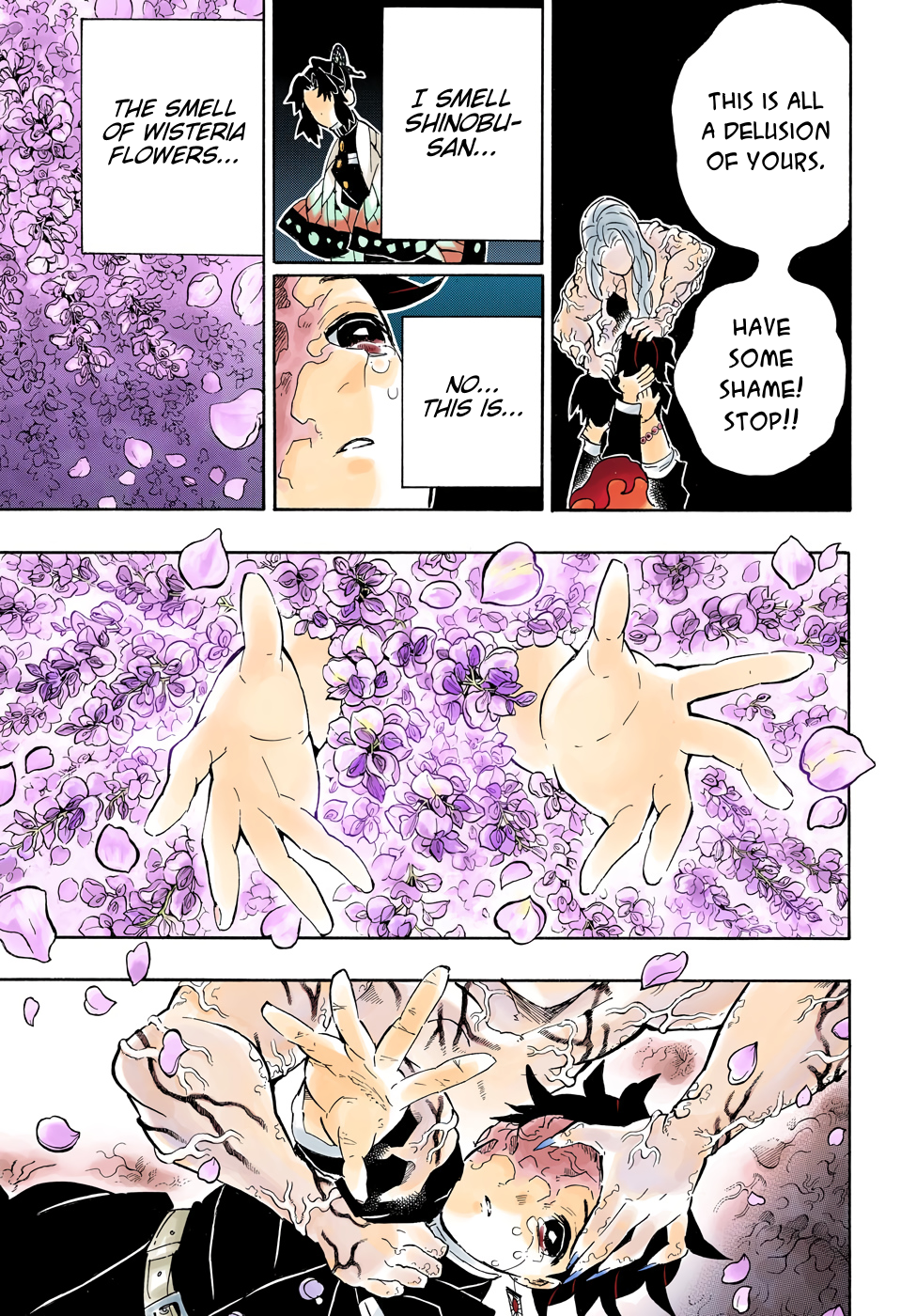 Demon Slayer: Kimetsu no Yaiba – manga in colored Chapter 203 - Page 9