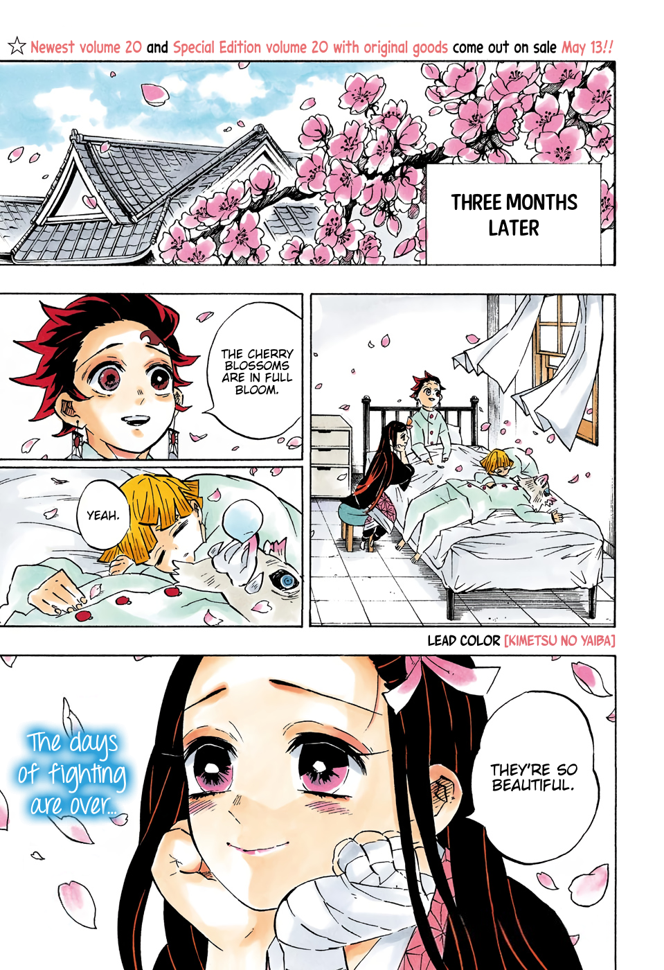 Demon Slayer: Kimetsu no Yaiba – manga in colored Chapter 204 - Page 4