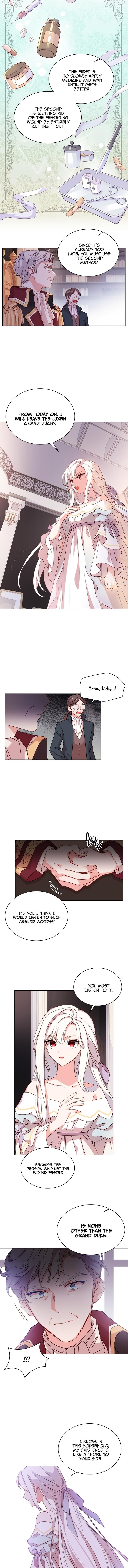 The Lady Wants to Rest Chapter 3 - Page 7