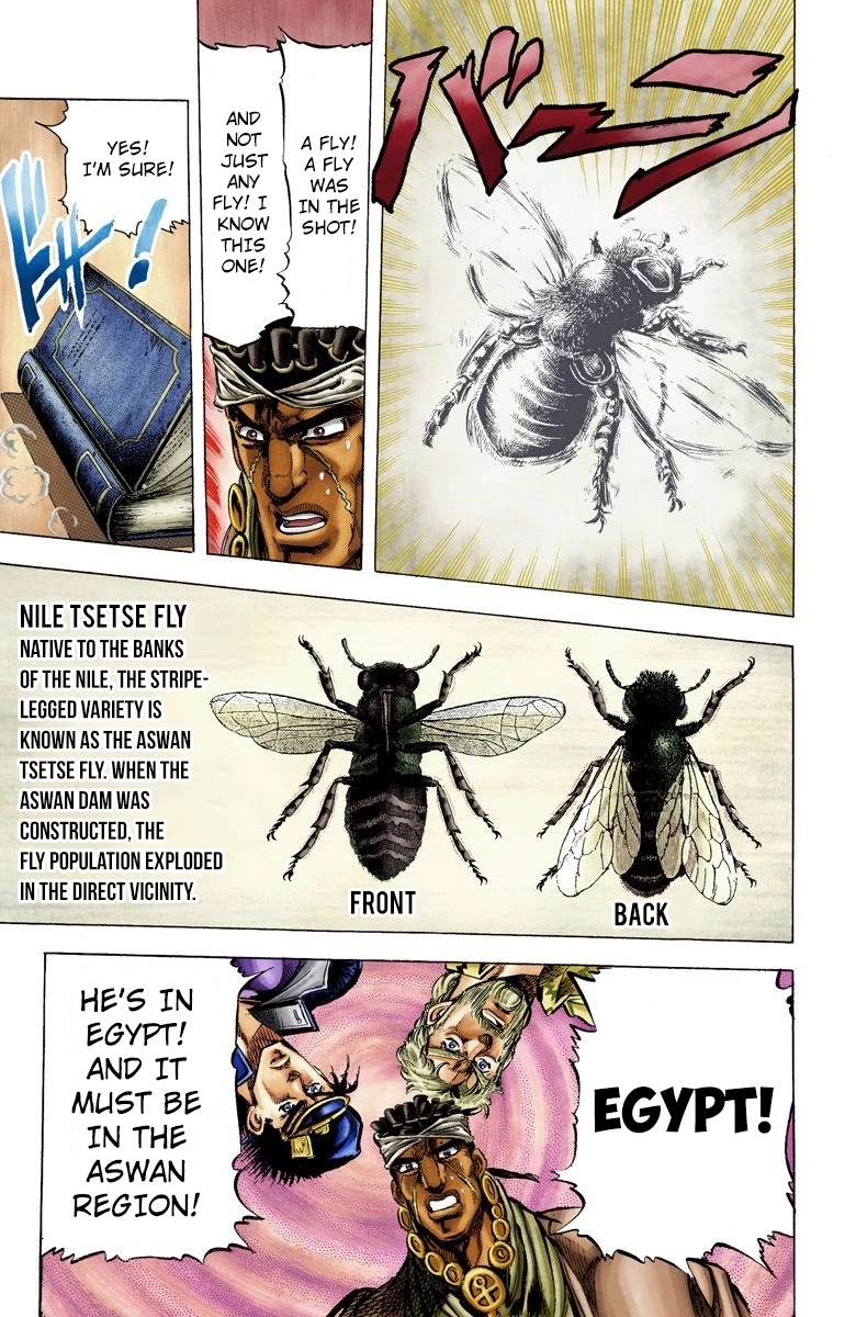 JoJo’s Bizarre Adventure Part 3 – Stardust Crusaders (Official Colored) Chapter 8 - Page 12