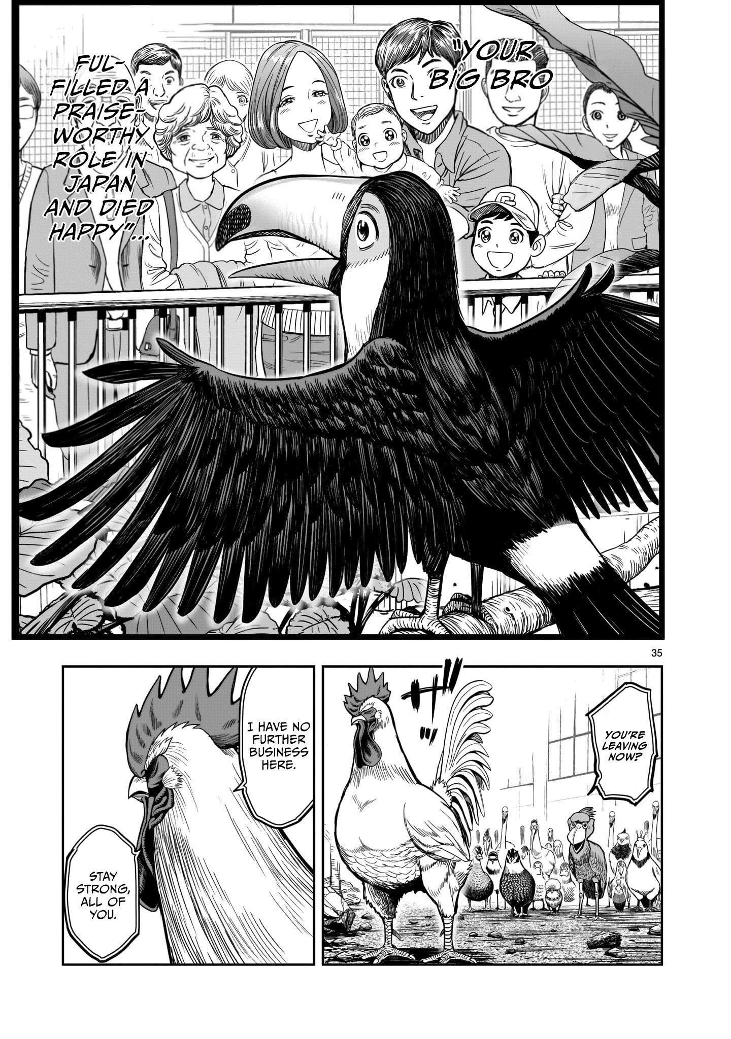 Rooster Fighter Chapter 3 - Page 35