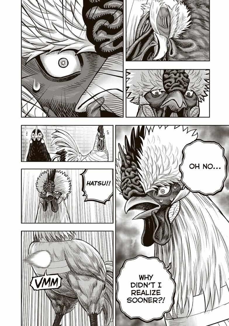 Rooster Fighter Chapter 34 - Page 14