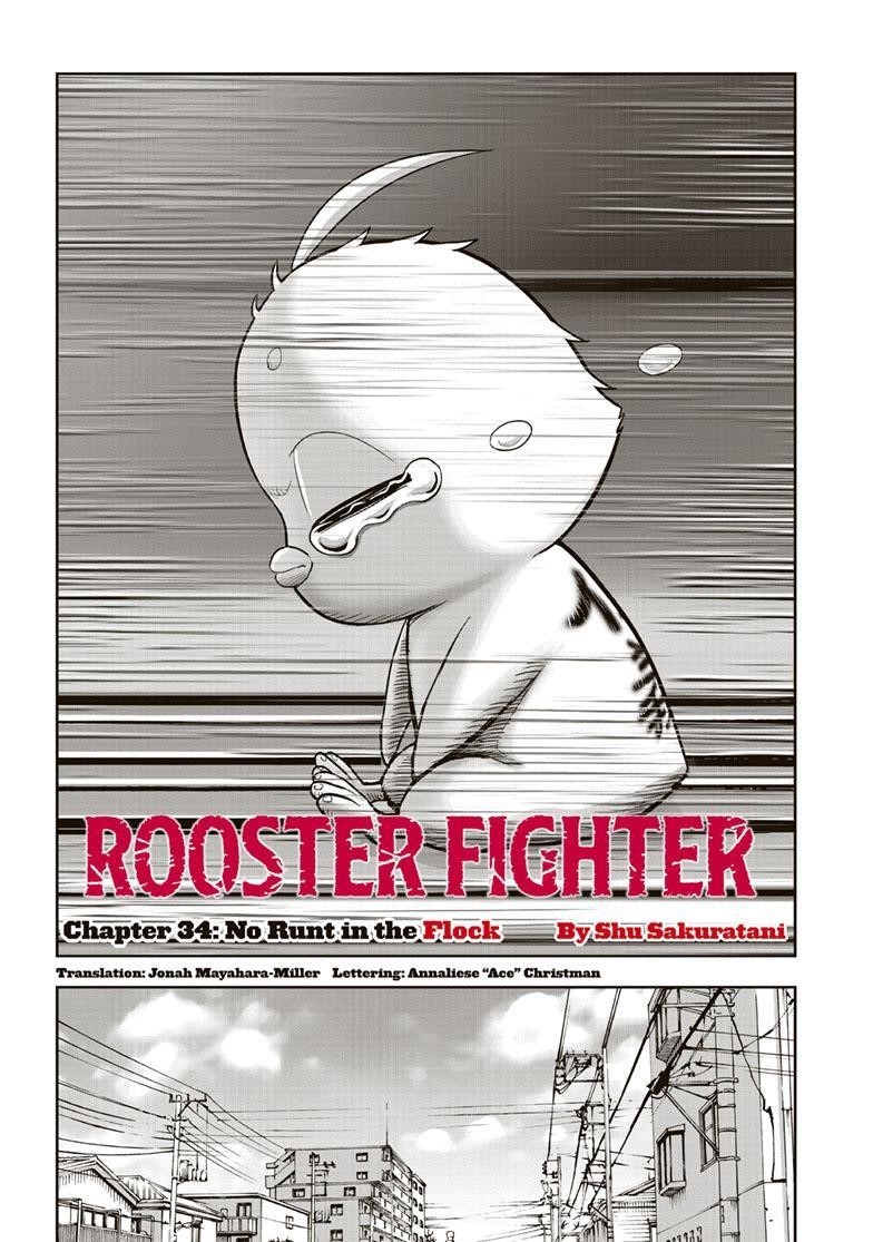 Rooster Fighter Chapter 34 - Page 2