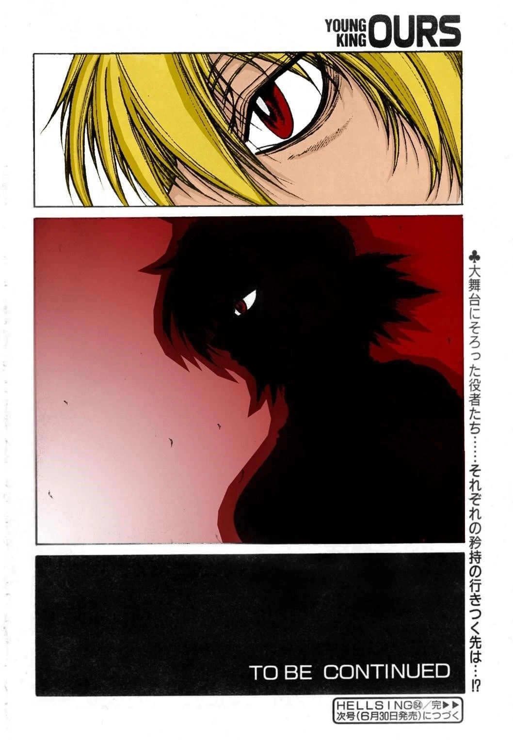 Hellsing Chapter 63 - Page 26