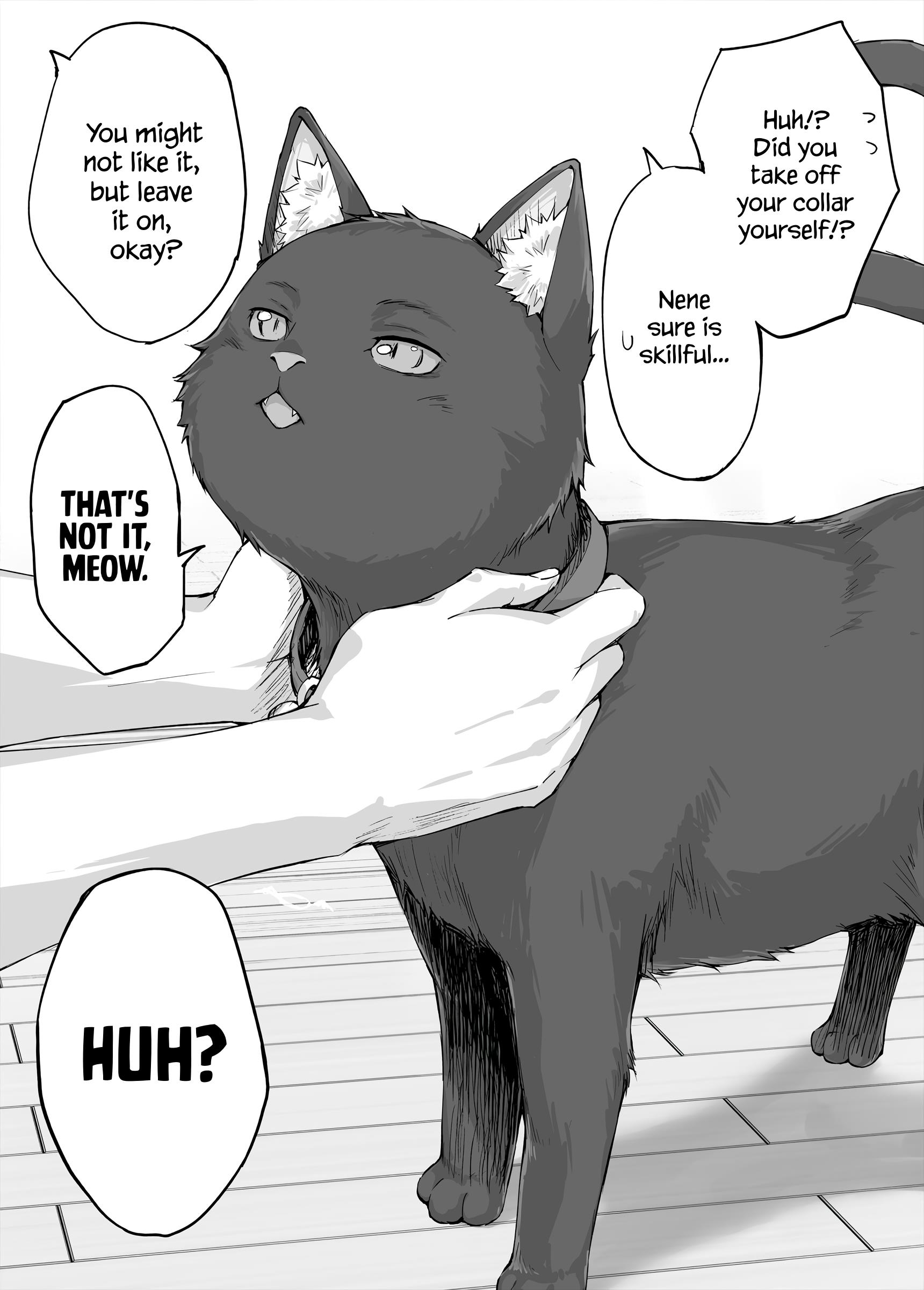 The Yandere Pet Cat Is Overly Domineering Chapter 12 - Page 1