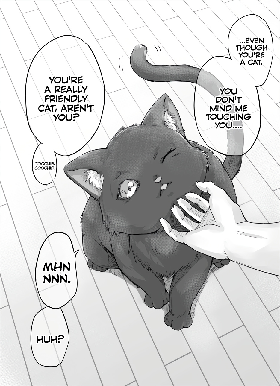 The Yandere Pet Cat Is Overly Domineering Chapter 2 - Page 1