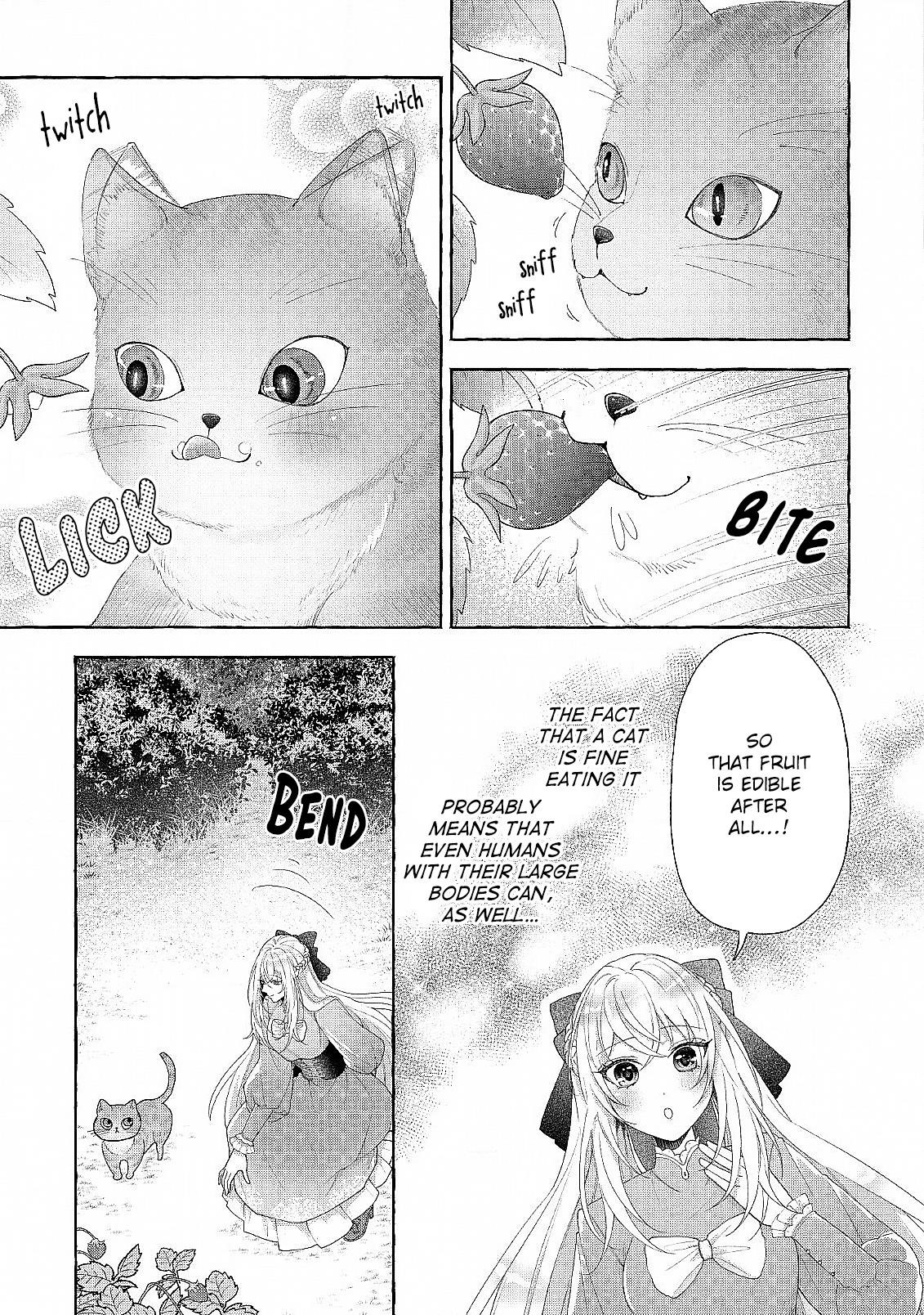 I Was Abandoned at Reincarnation, so I Will Cook with Fluffy Animals Chapter 6 - Page 3