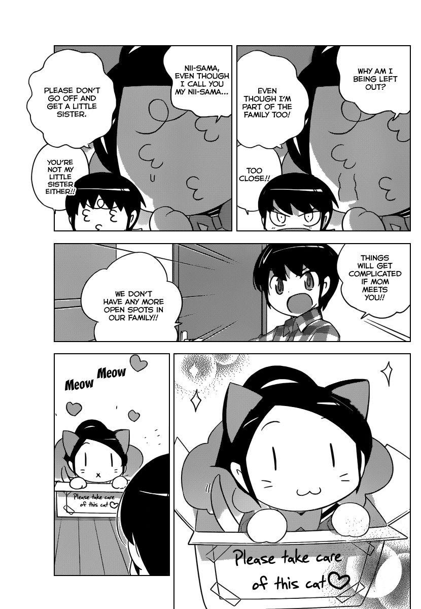 The World God Only Knows Chapter 202 - Page 12