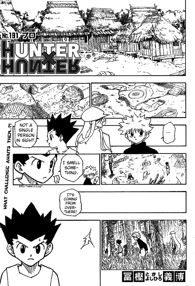 Hunter x Hunter Chapter 191 - Page 2