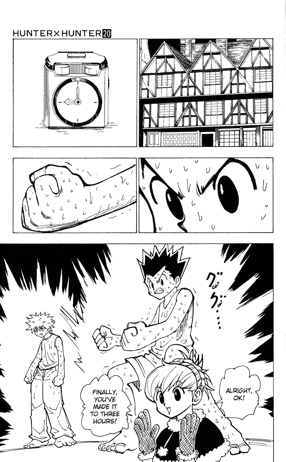 Hunter x Hunter Chapter 202 - Page 11