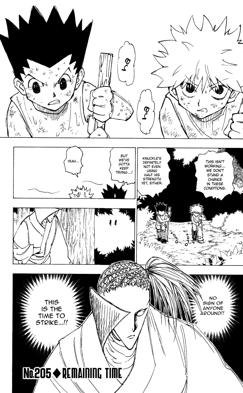 Hunter x Hunter Chapter 205 - Page 1