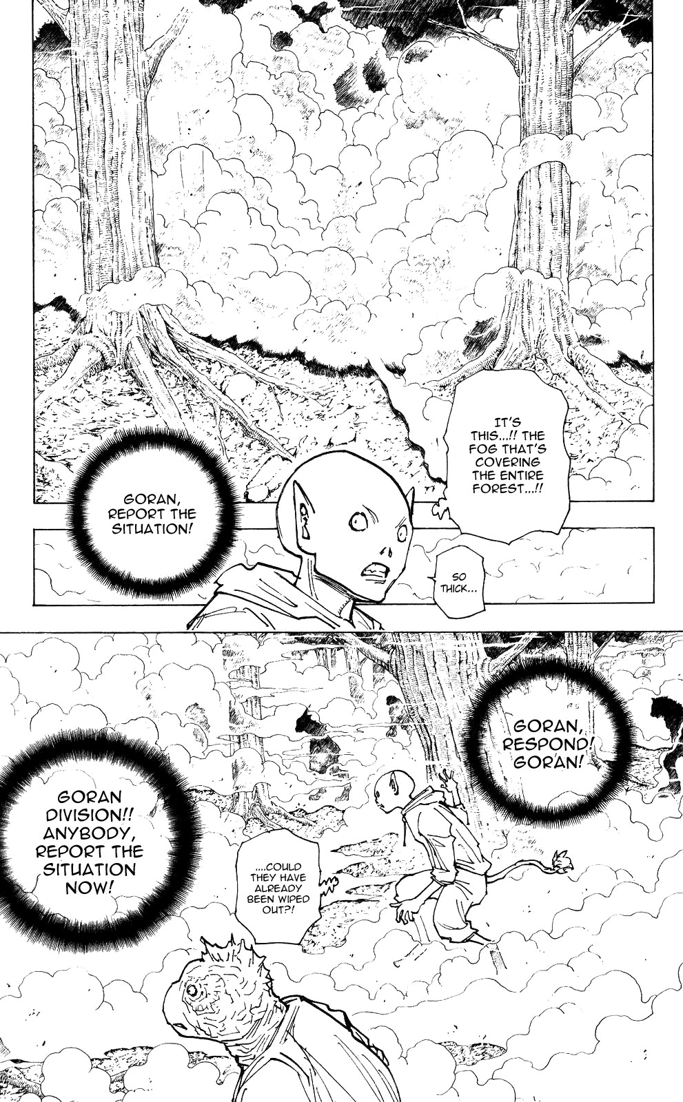 Hunter x Hunter Chapter 205 - Page 11