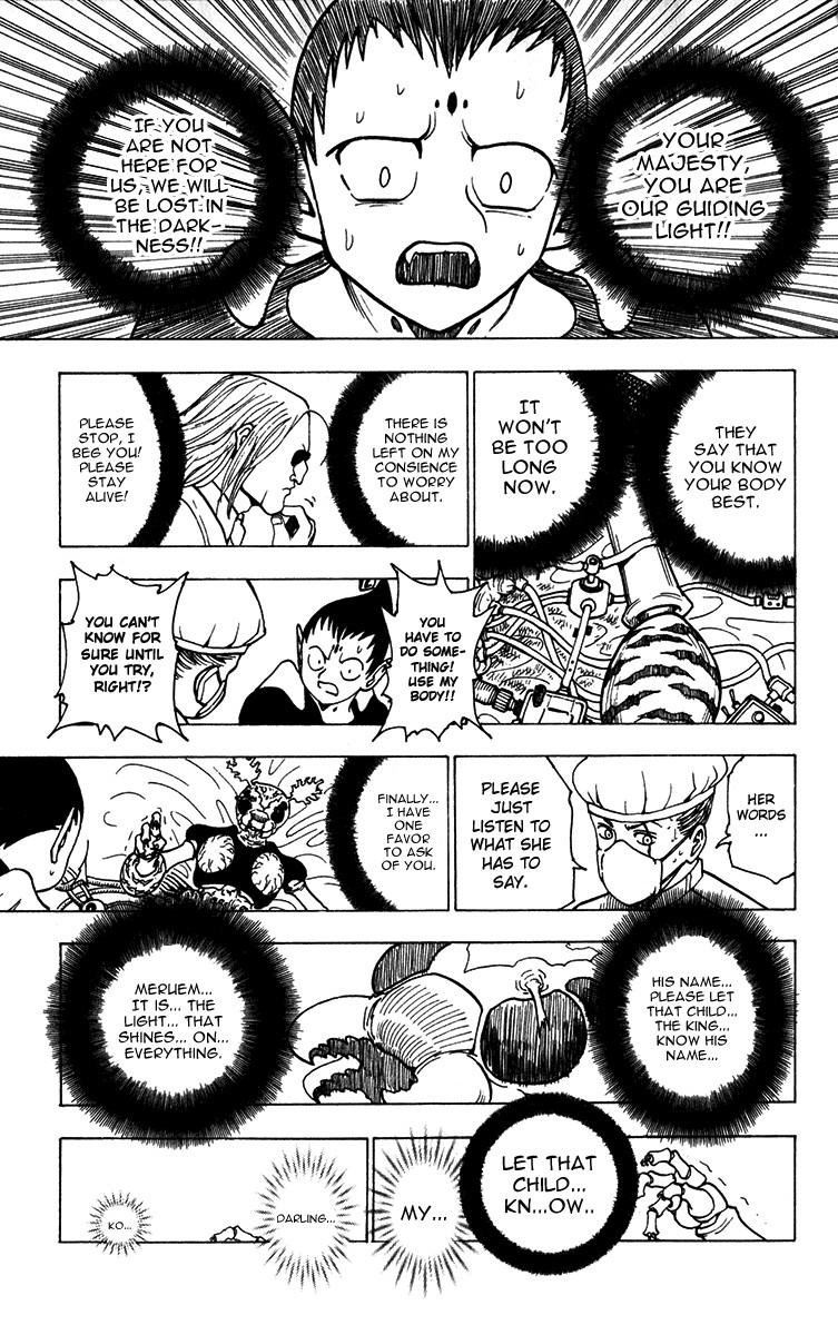 Hunter x Hunter Chapter 215 - Page 9