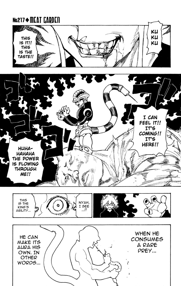 Hunter x Hunter Chapter 217 - Page 1