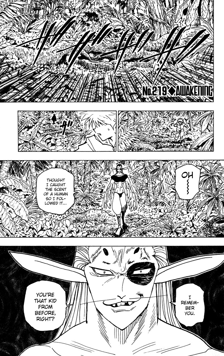 Hunter x Hunter Chapter 219 - Page 1