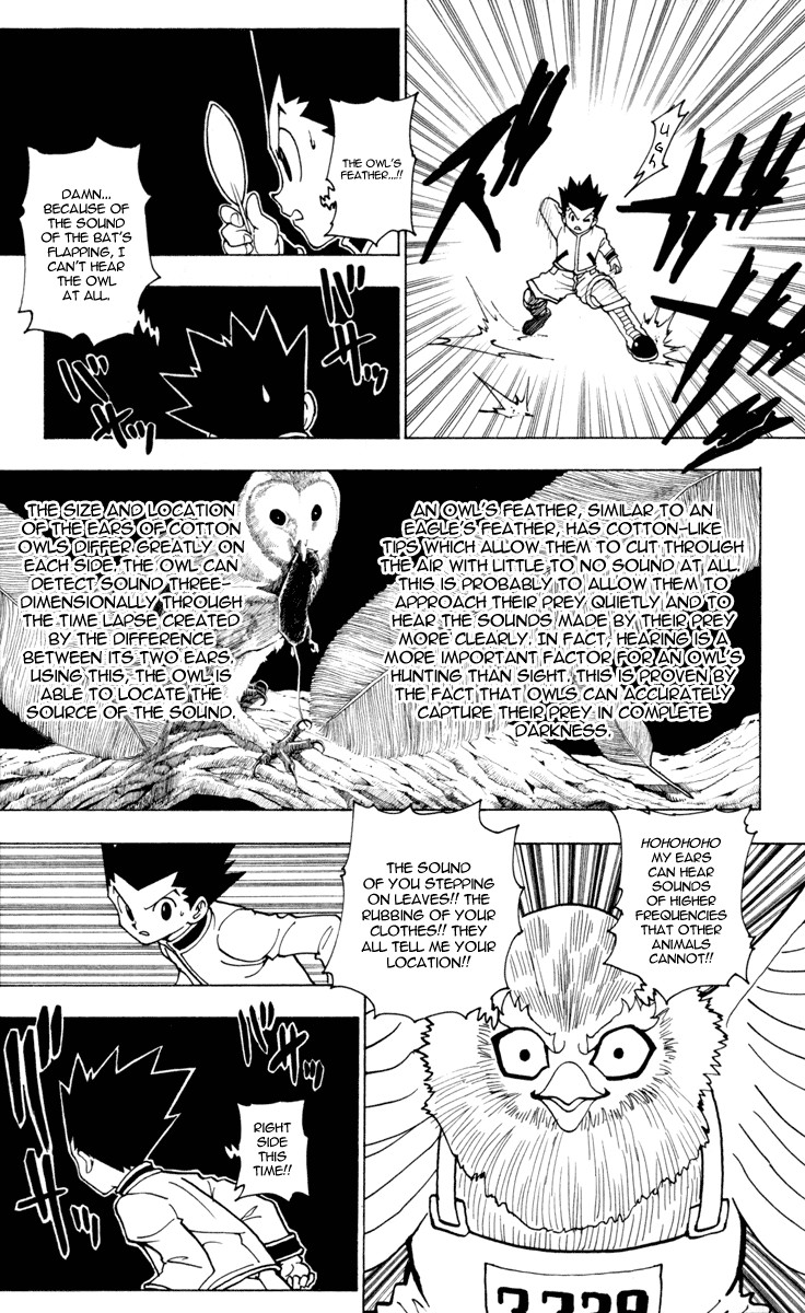 Hunter x Hunter Chapter 232 - Page 3