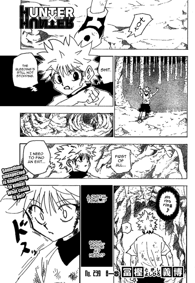 Hunter x Hunter Chapter 239 - Page 1