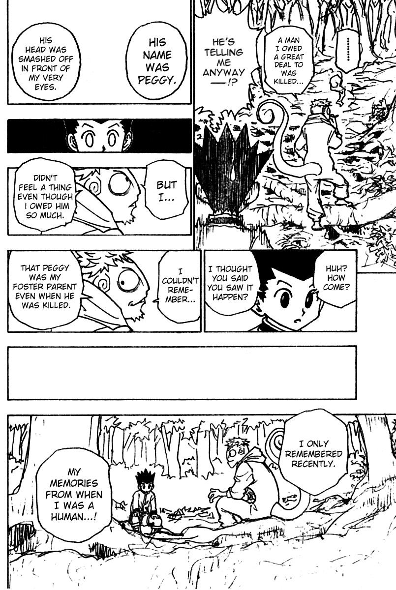 Hunter x Hunter Chapter 242 - Page 12