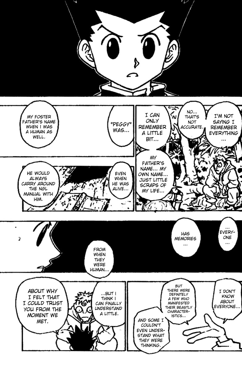 Hunter x Hunter Chapter 242 - Page 13