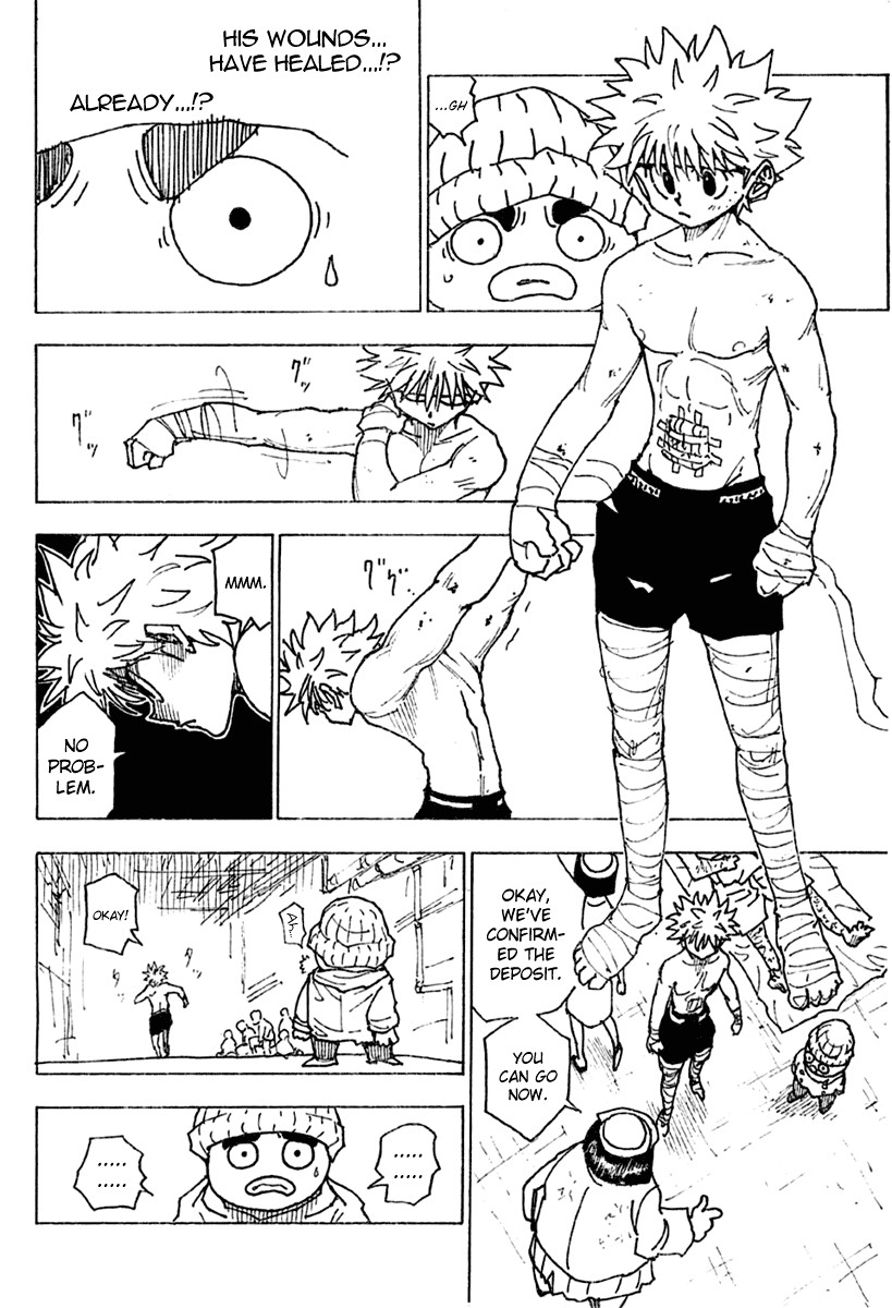 Hunter x Hunter Chapter 255 - Page 10