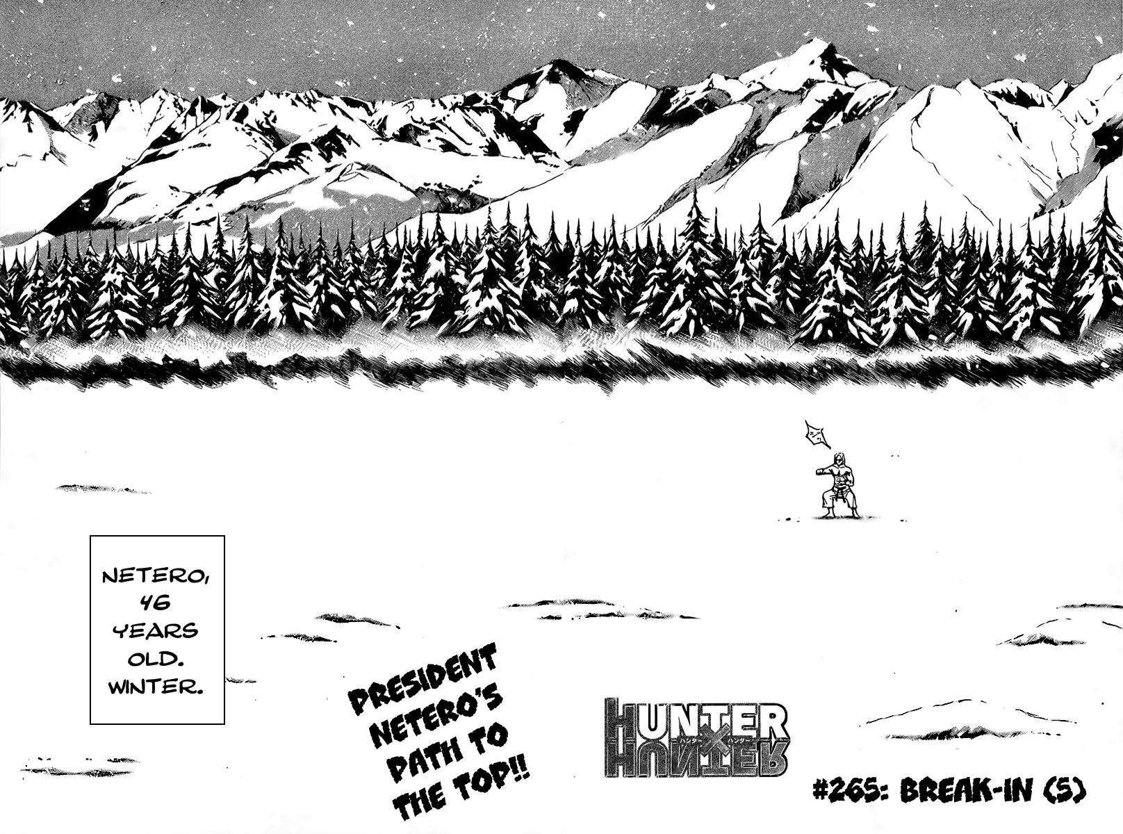 Hunter x Hunter Chapter 265 - Page 4