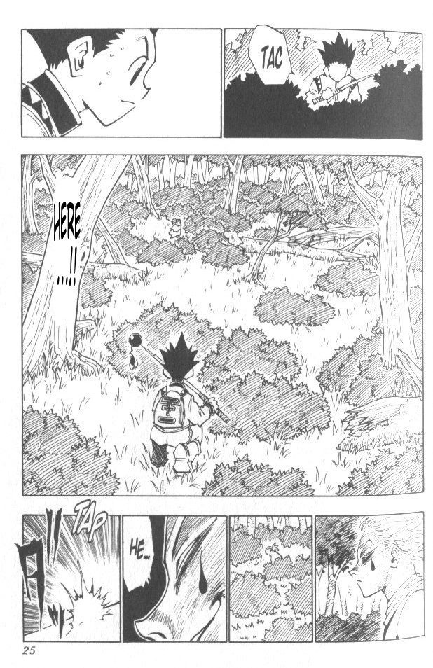 Hunter x Hunter Chapter 27 - Page 20