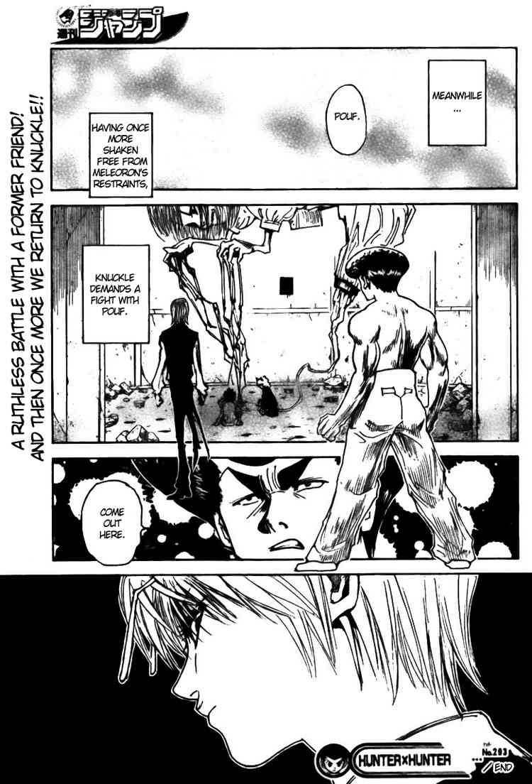 Hunter x Hunter Chapter 293 - Page 19