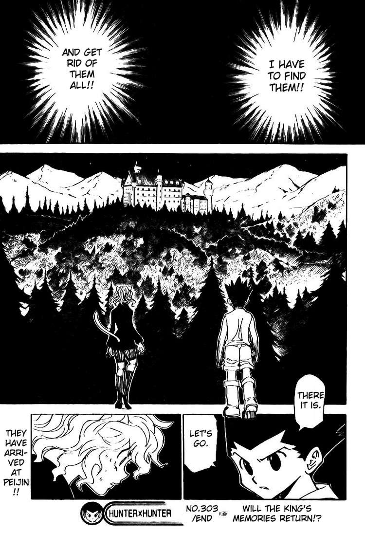 Hunter x Hunter Chapter 303 - Page 18