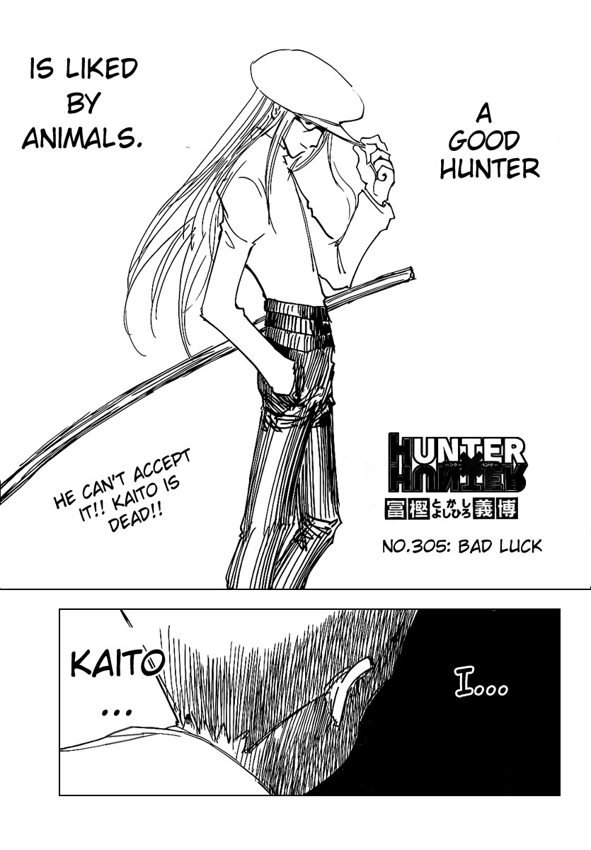 Hunter x Hunter Chapter 305 - Page 2