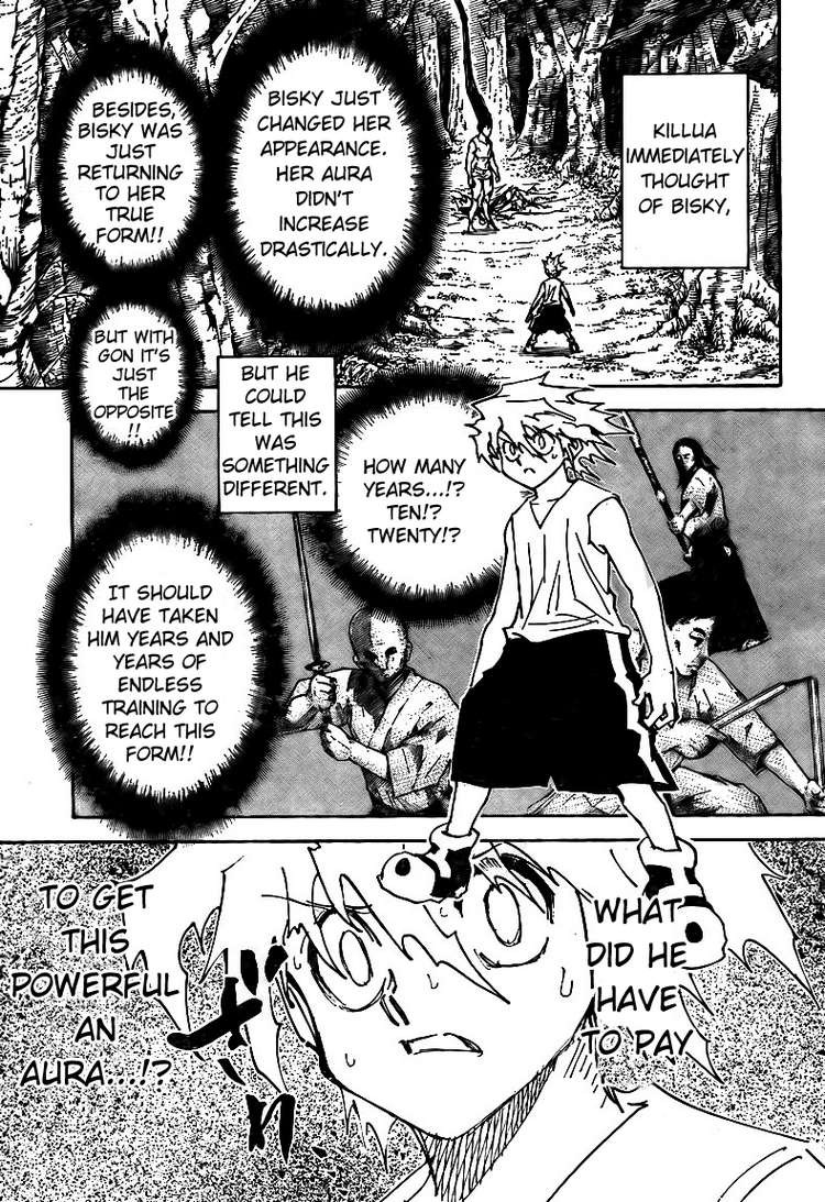 Hunter x Hunter Chapter 307 - Page 6