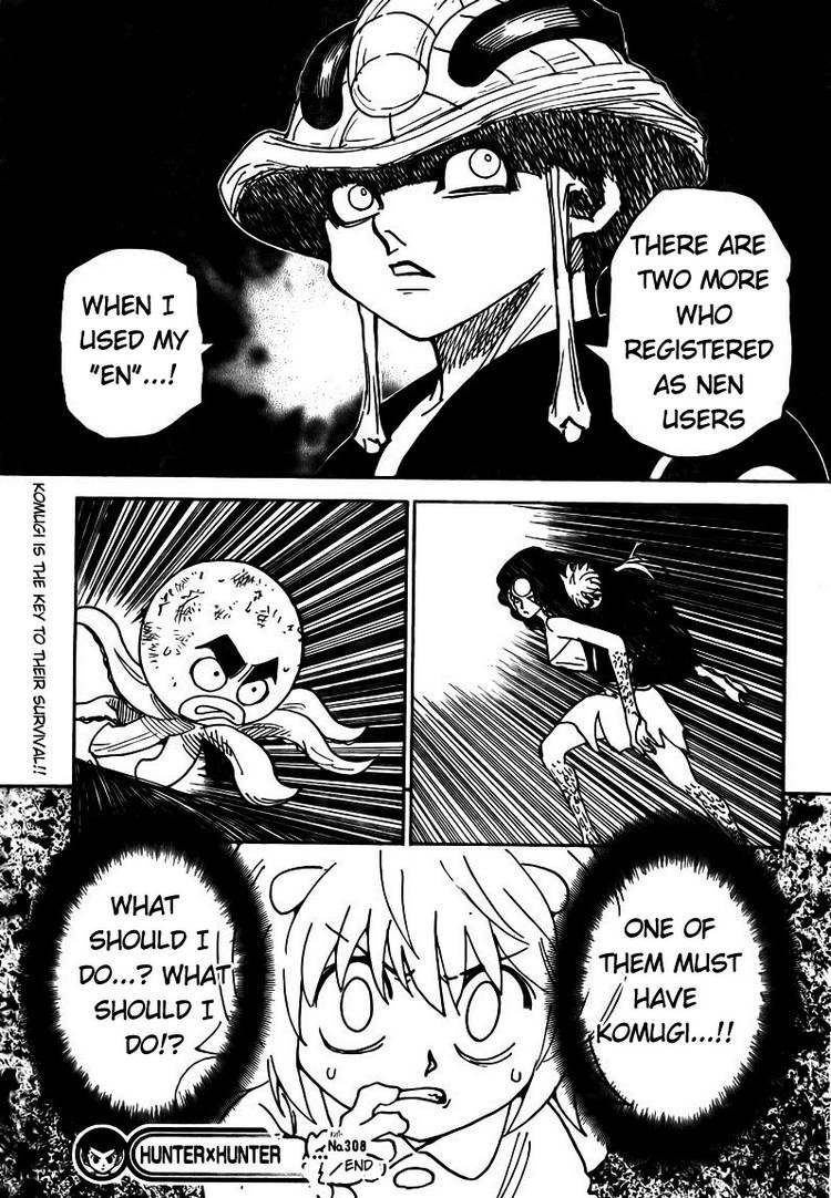 Hunter x Hunter Chapter 308 - Page 17