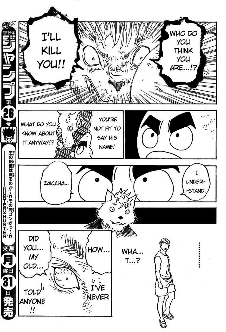 Hunter x Hunter Chapter 309 - Page 17