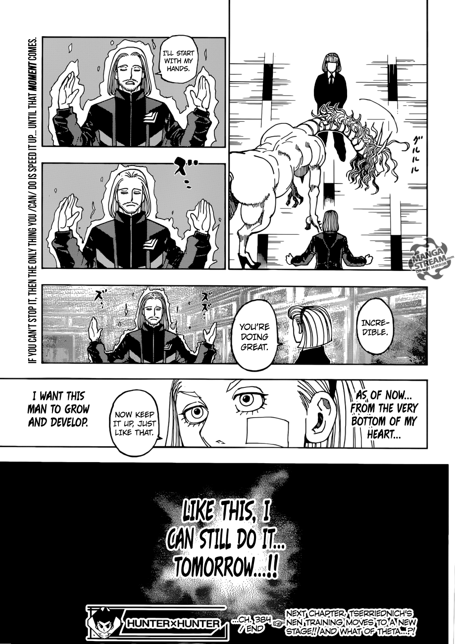 Hunter x Hunter Chapter 384 - Page 17