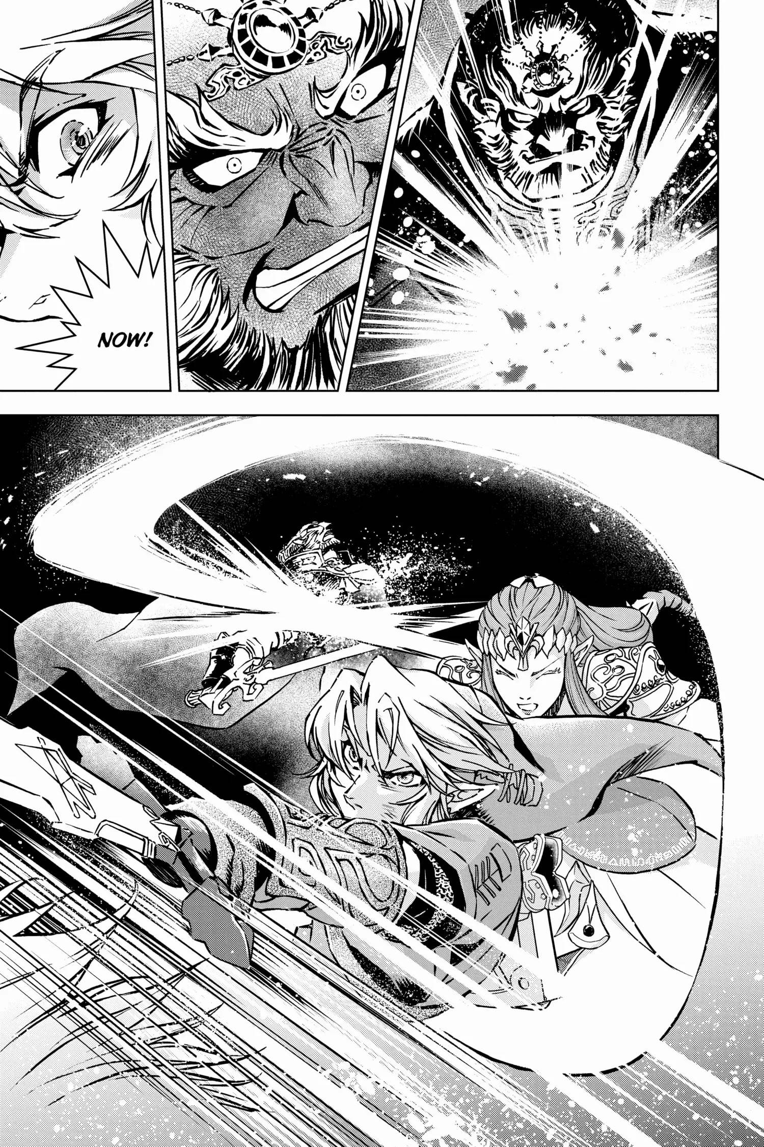 Zelda No Densetsu – Twilight Princess Chapter 54 - Page 26
