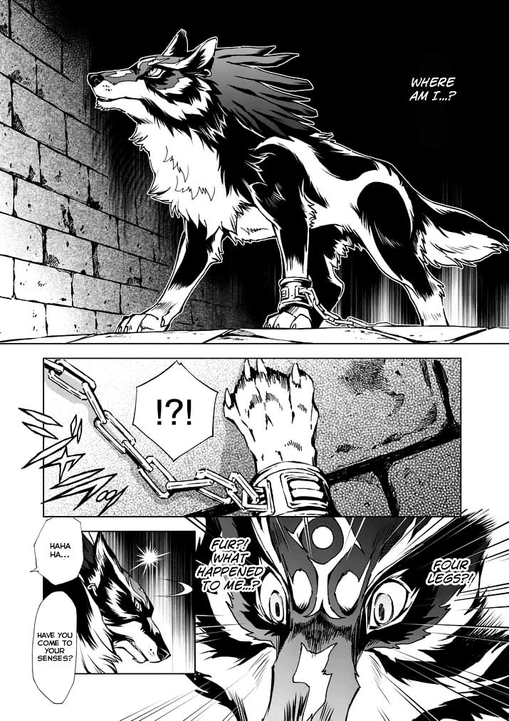 Zelda No Densetsu – Twilight Princess Chapter 9 - Page 17