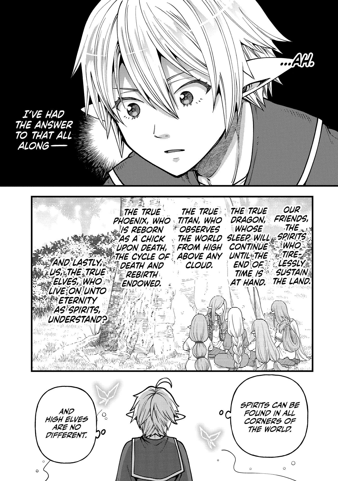 Growing Tired of the Lazy High Elf Life After 120 Years Chapter 29 - Page 27