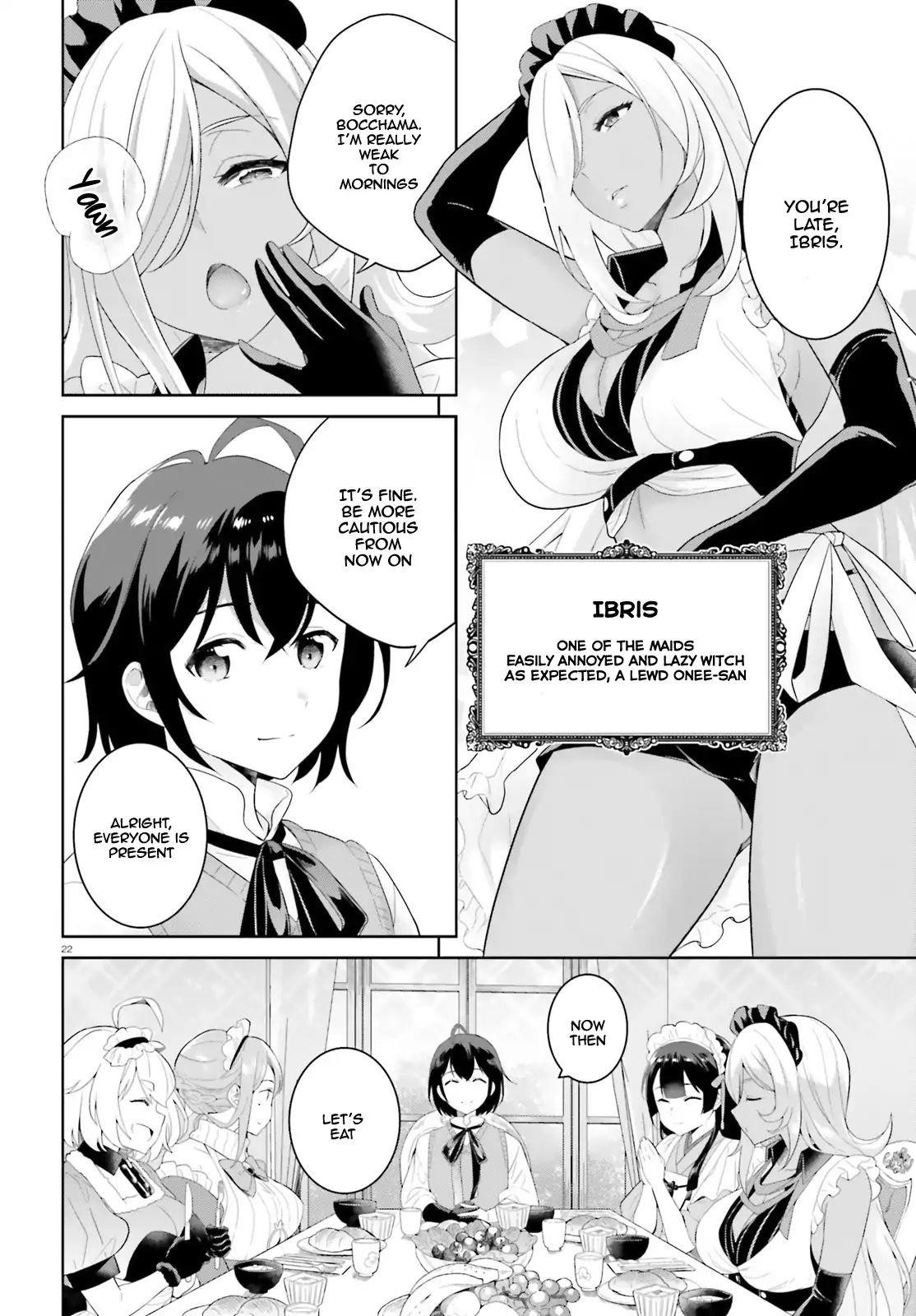 Genius Hero and Maid Sister Chapter 1 - Page 21