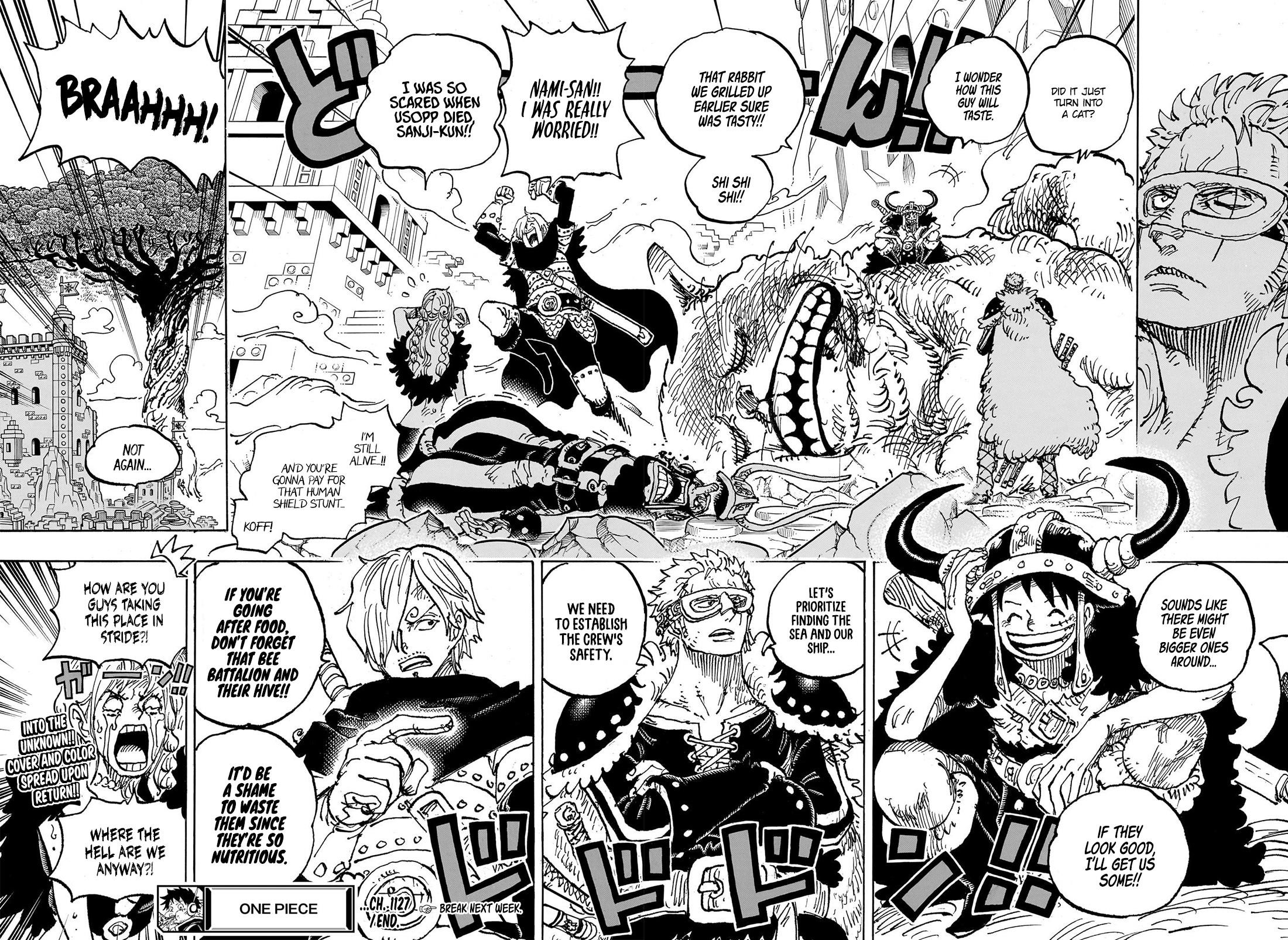 One Piece Chapter 1127 - Page 13